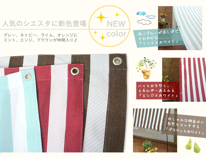 シエスタ 新色